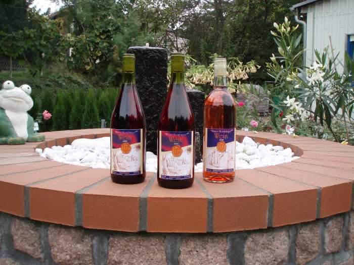 Blauer Bernburger Wein Jahrgang 2008